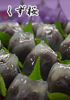 くず桜
230円
7月中旬～9月初旬
